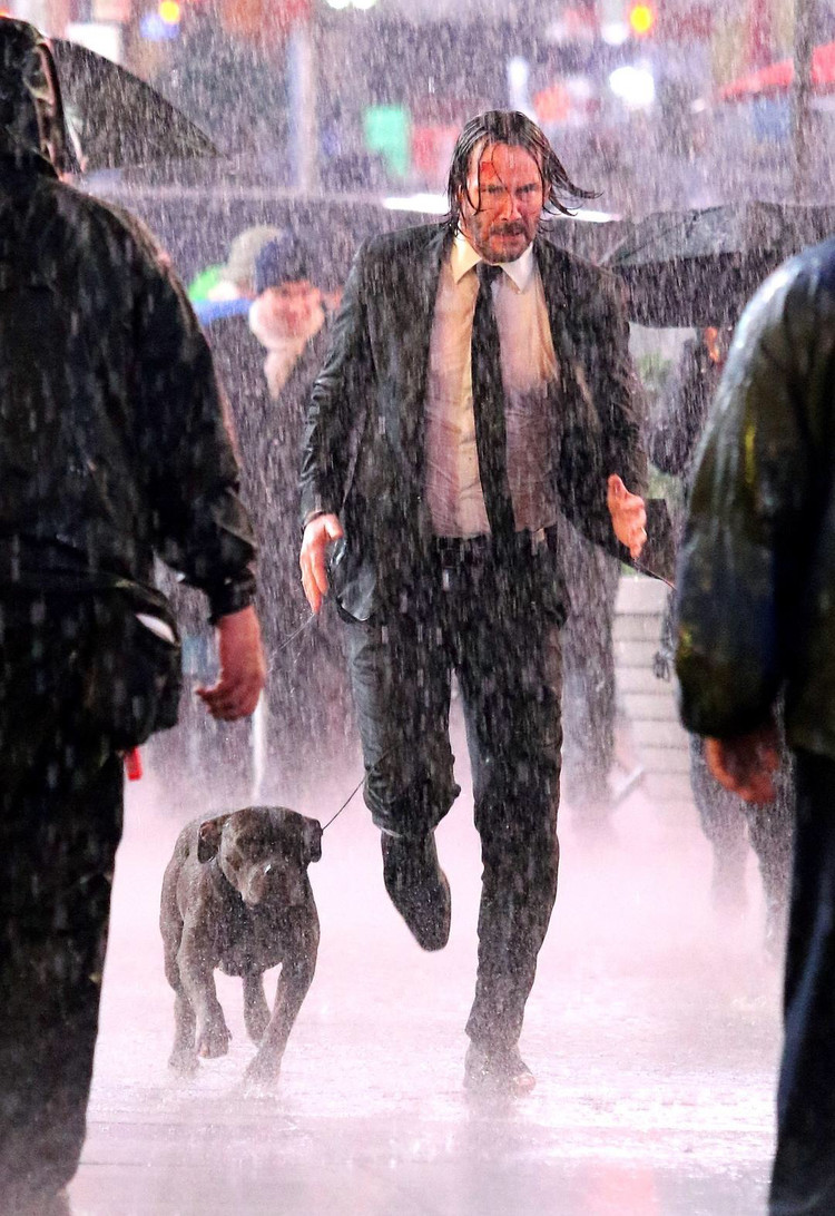 疾速备战豆瓣8.1分系列最佳,基努里维斯契约枷锁下的困兽之斗