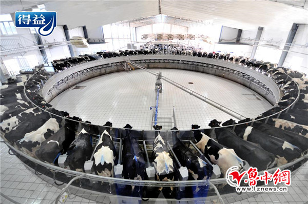 得益乳業(yè)：聚焦“種養(yǎng)加”一體化，助推農(nóng)民增收致富