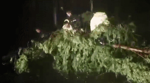台风来袭！河北多趟列车停运！中到大雨+局地暴雨+11级大风，河北人一定要警惕