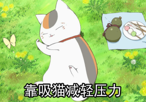 當代女生的五大快樂源泉，磕動漫就可以全部滿足，而且男生也可以