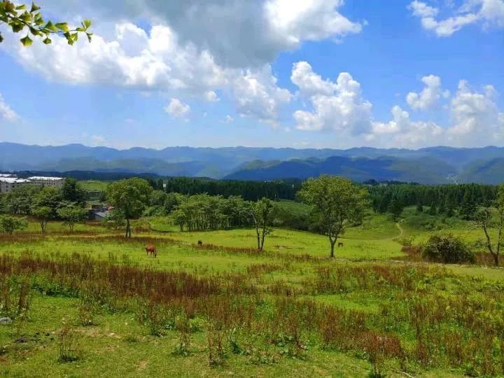 我见青山多妩媚，料青山看我应如是……