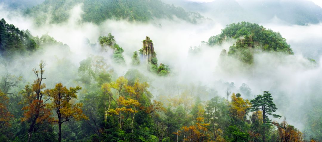 湖栖山归汤泉暖，野逸郴州