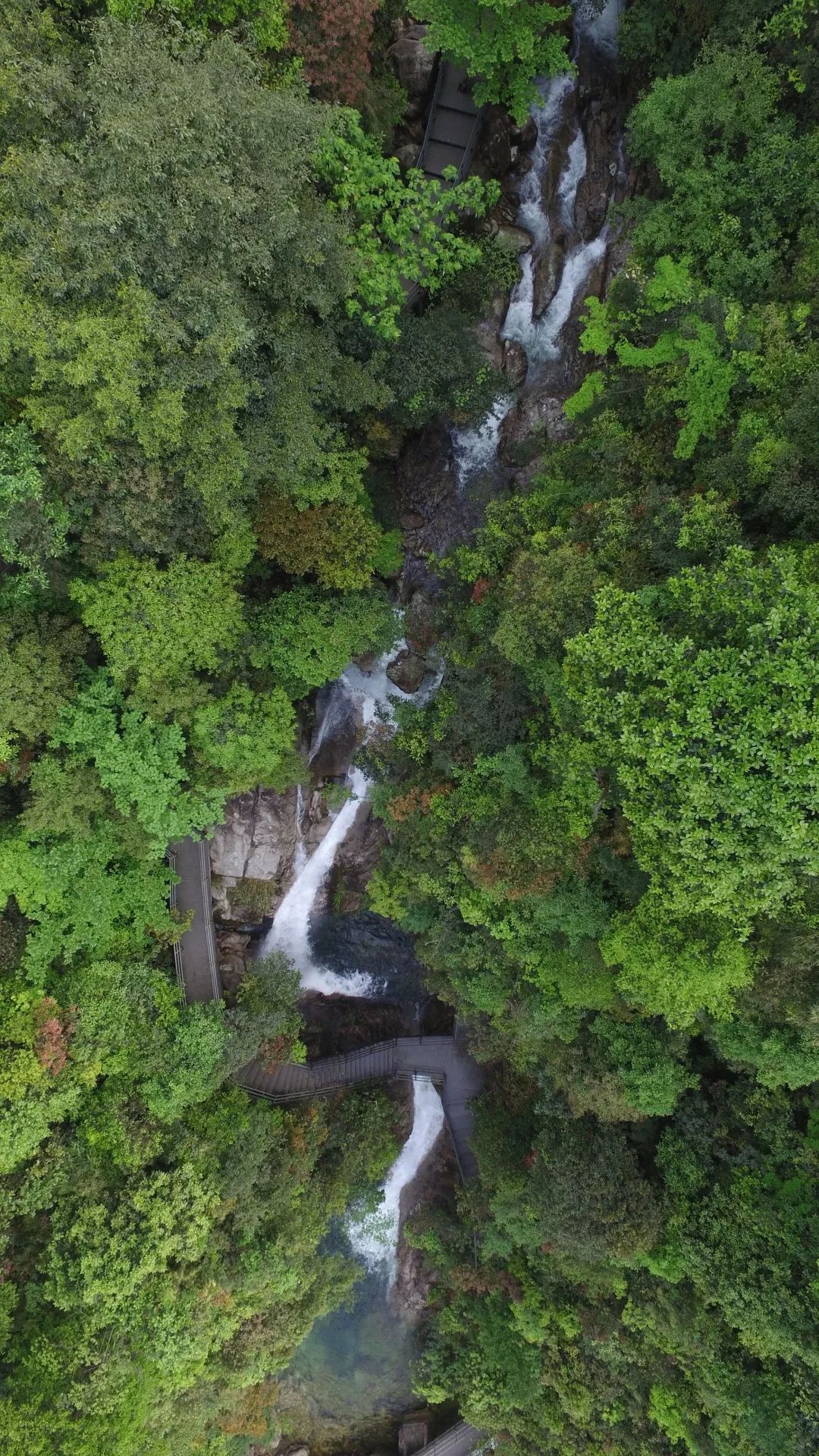 湖栖山归汤泉暖，野逸郴州