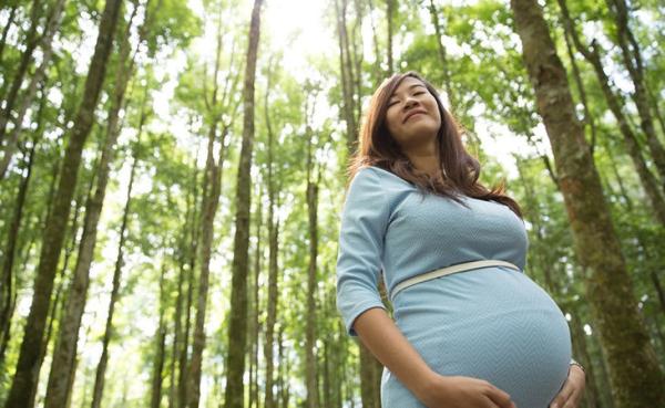 怀孕期间饮食注意事项  孕妇吃什么好不能吃什么 