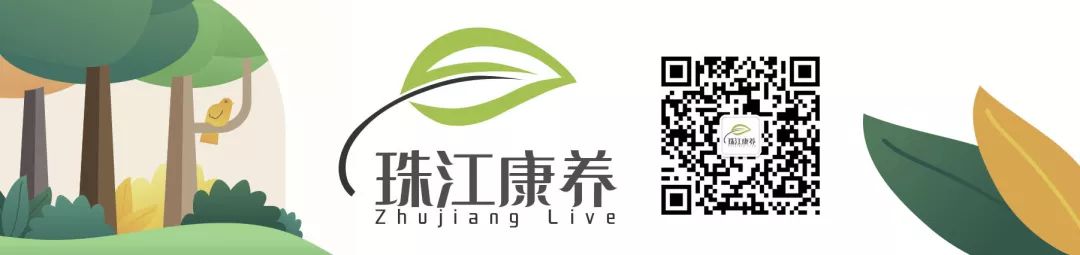 火龙果皮居然能吃?这样吃的营养价值一样高