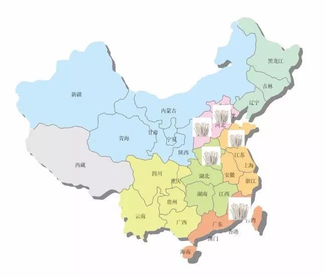 世园会·百蔬园丨百种时令蔬菜 —— 海鲜菇（八十一）