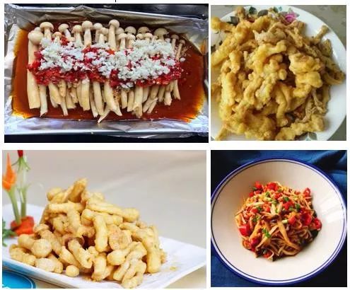 世园会·百蔬园丨百种时令蔬菜 —— 海鲜菇（八十一）