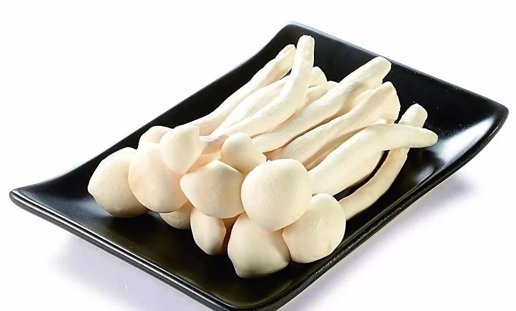 世园会·百蔬园丨百种时令蔬菜 —— 海鲜菇（八十一）