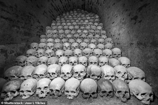 黑死病真实图片(基因证据) - 赤虎壹号