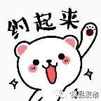 横县电视台,横县电视台官网