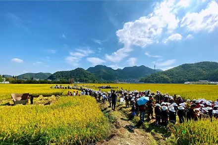 杭州新出炉5条一日游精品线路！逛吃玩……这个时候去正好