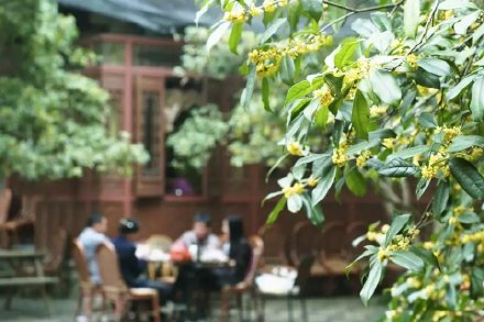 杭州新出炉5条一日游精品线路！逛吃玩……这个时候去正好