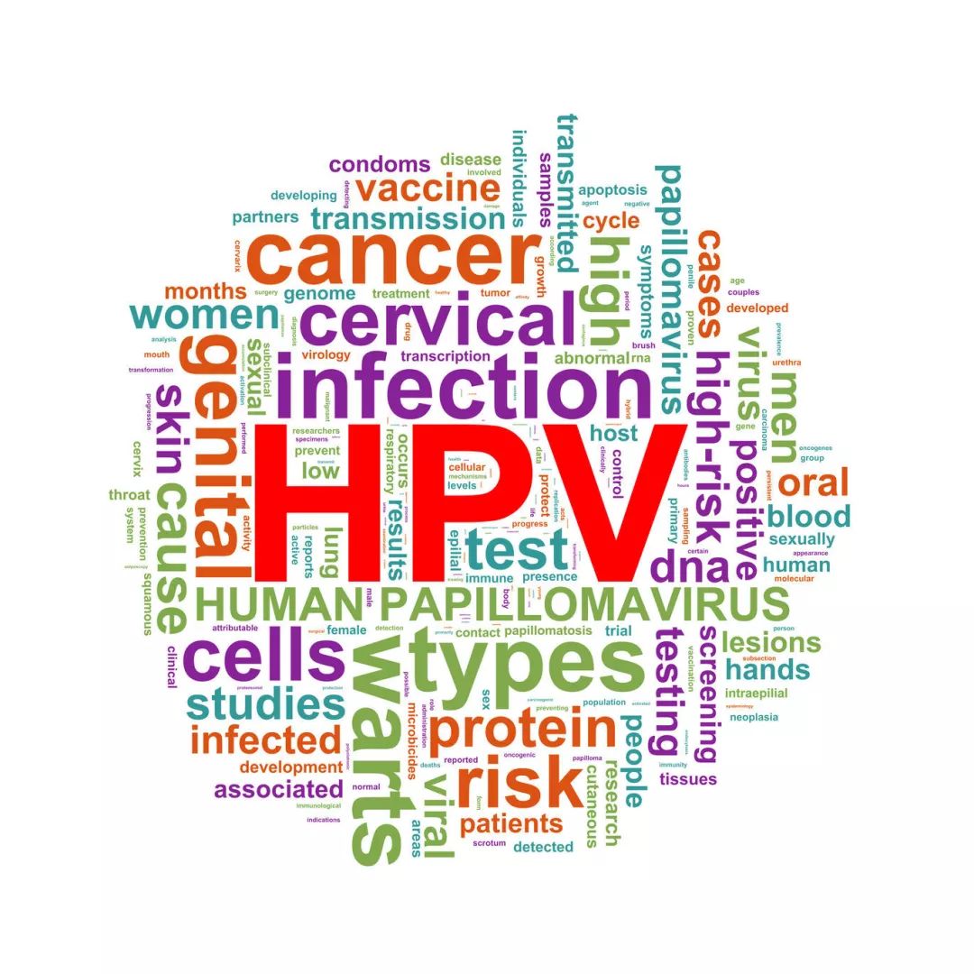 HPV是宫颈的感冒？80%的人一生中都会被它感染