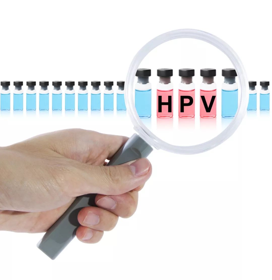 HPV是宫颈的感冒？80%的人一生中都会被它感染