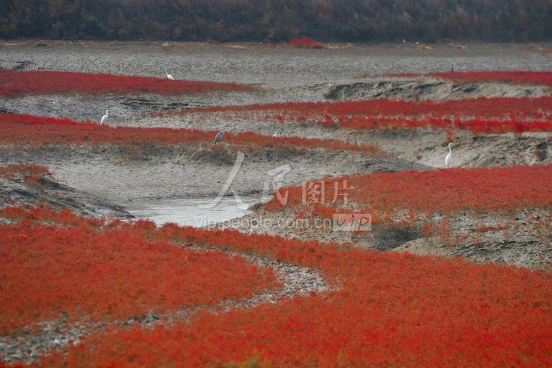 山东青岛：海滩秋意美如画卷