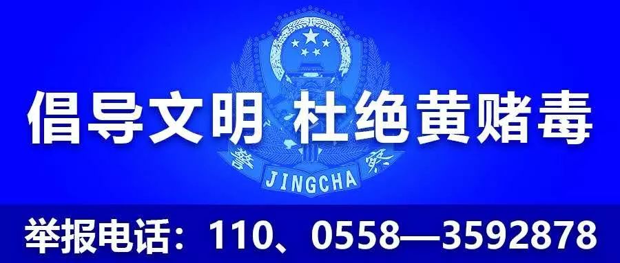 厉害了！你见过咱大阜阳造的汽车吗？