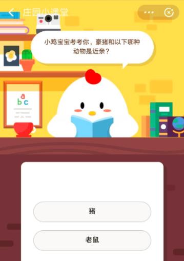 豪豬的近親,豪豬的近親是什么動物