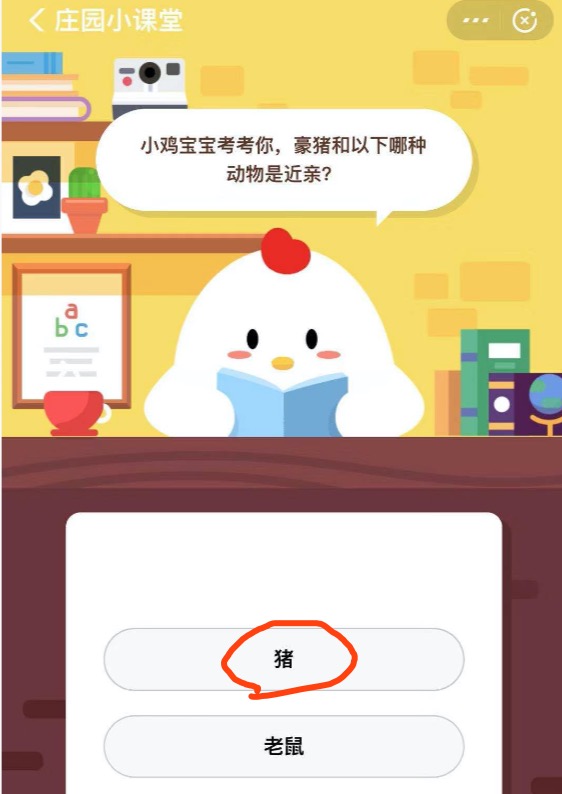 豪豬和什么是近親,豪豬和誰是近親?