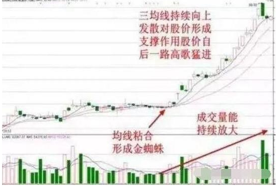 u233v3篮球世界杯直播(A股唯一不骗人的指标：当我把“盘口语言”搞清楚了，几乎吃透所有涨幅，反复验证从未失误)