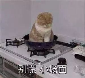 汽车发飘，谁来背锅？