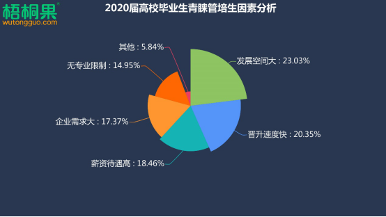 2020届毕业生最爱管培生岗位 月薪8千上海管培生最值钱