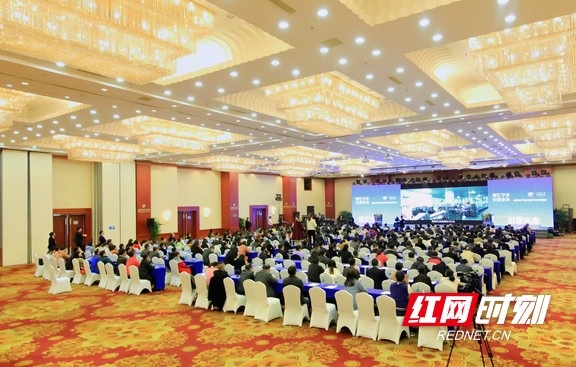 大咖云集！宁乡市食品及农产品加工制造产业专家指导委员会正式成立