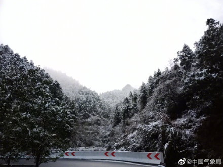 来看看南方的雪吗？