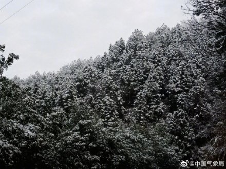 来看看南方的雪吗？