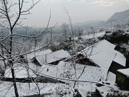来看看南方的雪吗？