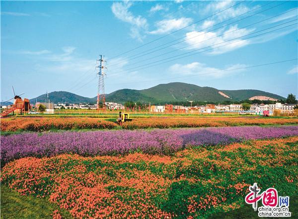 广西甲山在哪里(徐州汉王村被评为2019年中国美丽休闲乡村)