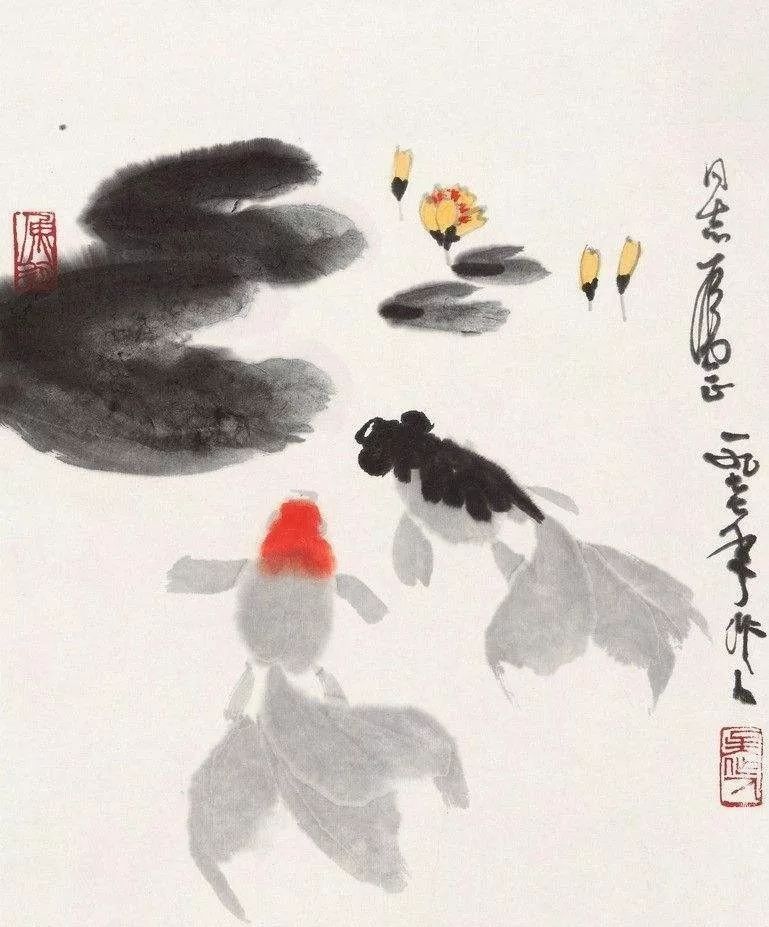 童鱼的诞生有力的证明了童第周的观点,开创了人类按需培养新物种的