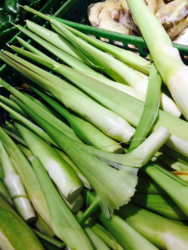 茭白的功效与作用女人吃茭白好处多多