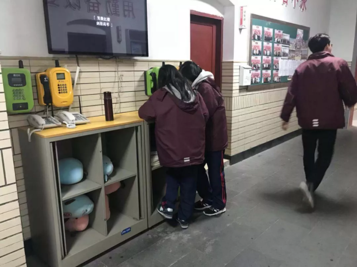 52.6万人报名，今年浙江首场“高考”下周一开考！学考选考有这些新调整