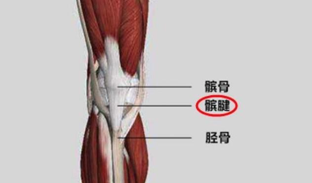 nba 有哪些球星有髌腱炎(丁彦雨航经纪公司：小丁患慢性髌腱炎 暂无法上场比赛)