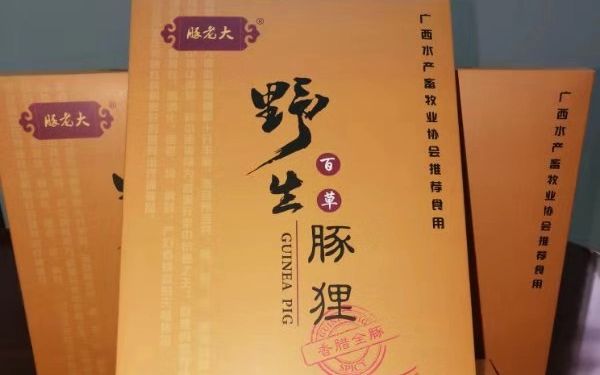 黑豚鼠養殖,黑豚鼠養殖方法