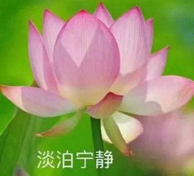 记者亲历:集中隔离到底是怎样一种体验?
