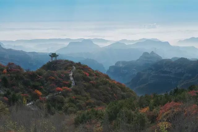 龙抬头 | 那夕阳下远眺的背影