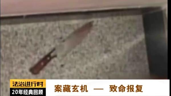 杀人保姆,