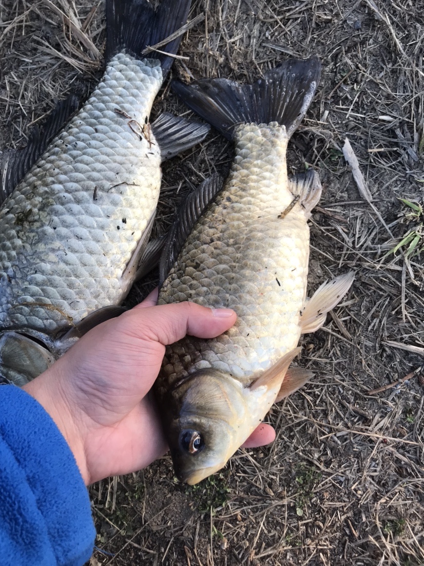 春天釣魚技巧,春季釣魚的技巧和方法