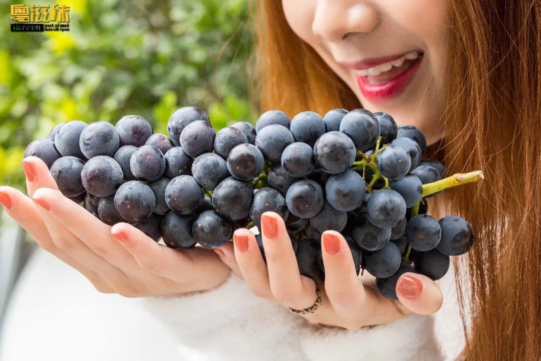 奈雪X张大奕「霸气葡萄」萄气回归！第①次第二杯半价