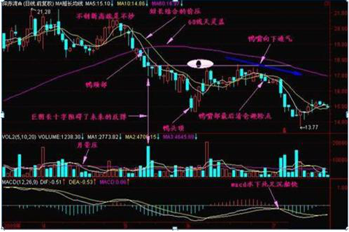 巴菲特讲透A股：中石油明明赚钱，为什么股价却一直不涨？目前A股跌成“估值洼地”，现在抄底中石油赚钱吗