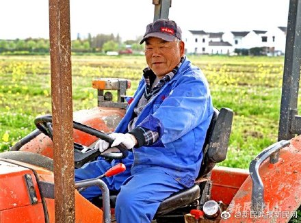 正是春光明媚時 田間播種新希望