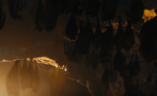 幽灵吹土地漫长的洞穴在线观看Freewatch渴望大象手表免费完成工作地址