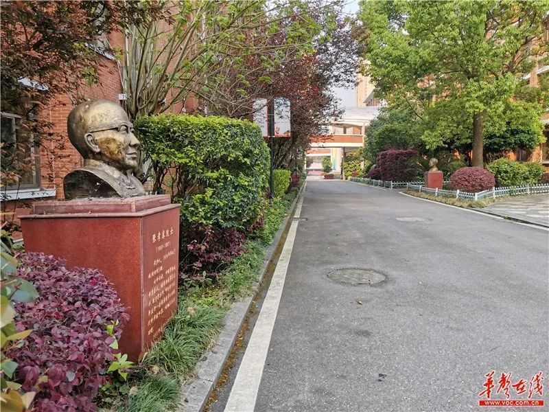 久违的课堂来了！湖南高三初三开学啦！这份返校指南请收好