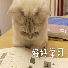 【校园防疫墙】返校倒计时！为了迎接同学们，肇庆各地的学校做了这些准备……