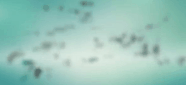 【院校招生】江苏建筑职业技术学院2020年提前招生--花开等君至！