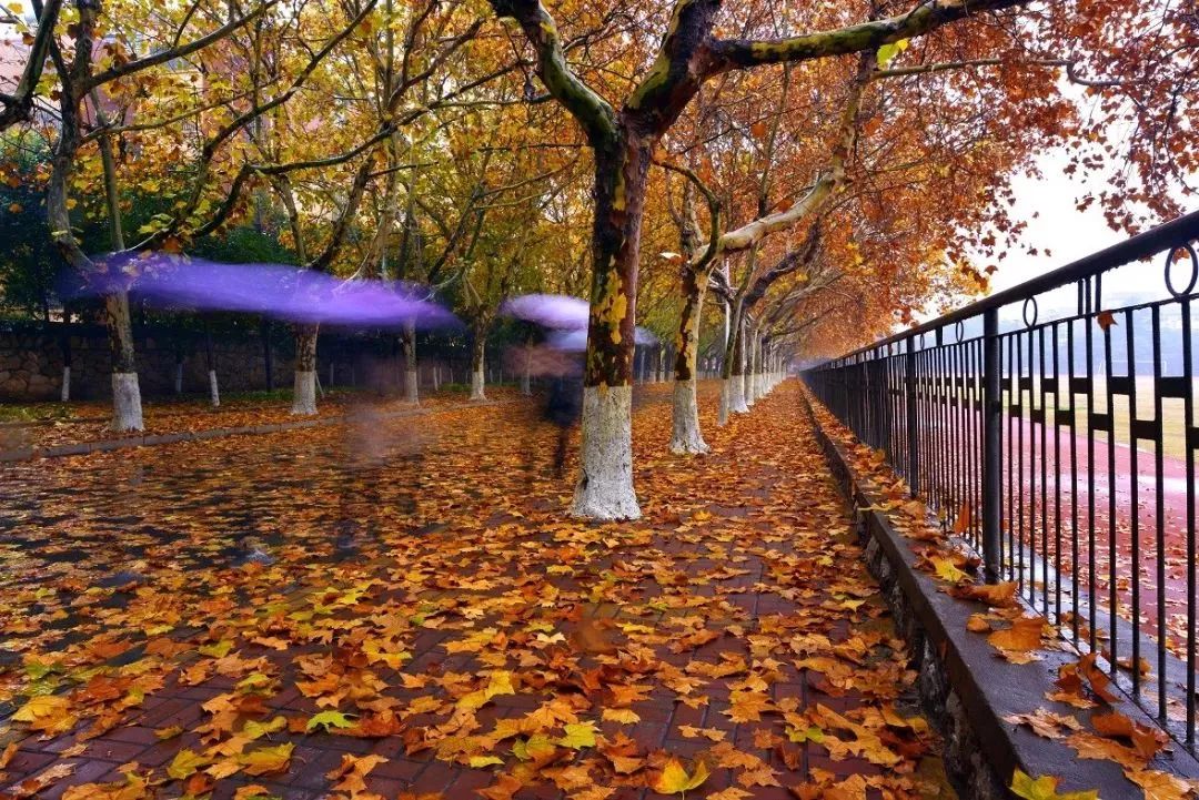 【院校招生】江苏建筑职业技术学院2020年提前招生--花开等君至！