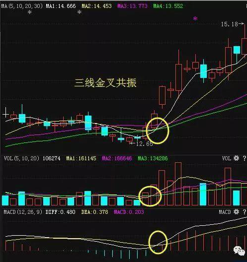 中国股市：炒股只买5元以下的低价股，风险就会比较小？钱就是这么亏没的