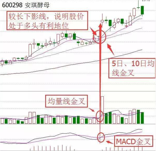 中国股市：炒股只买5元以下的低价股，风险就会比较小？钱就是这么亏没的