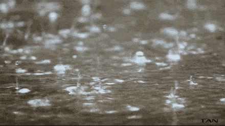 紧急预警！高温来袭 长春要下雨了